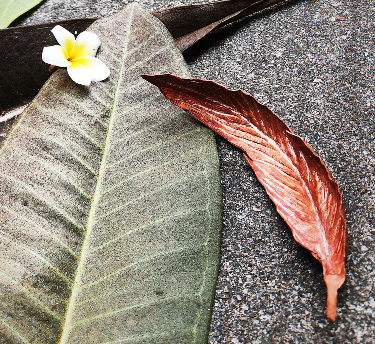 suncitygroup太阳新城