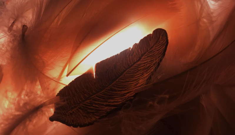 suncitygroup太阳新城