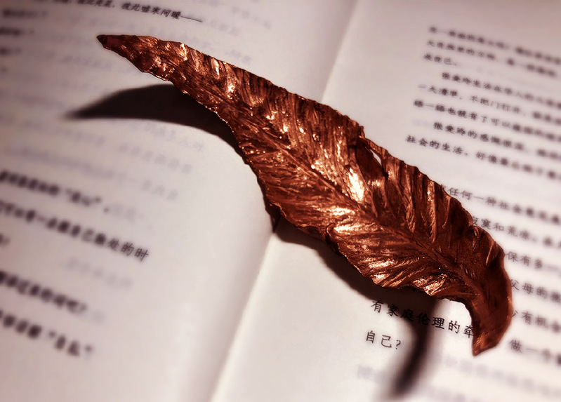 suncitygroup太阳新城