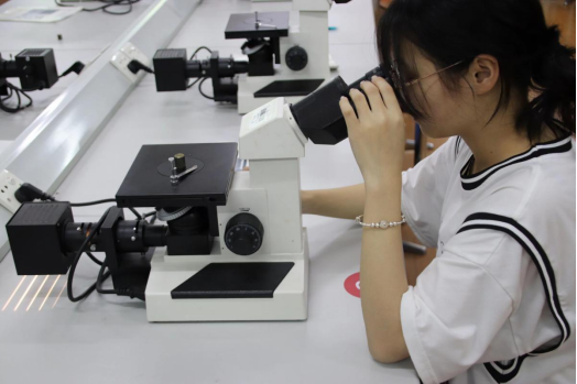 suncitygroup太阳新城