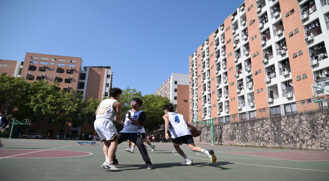 suncitygroup太阳新城